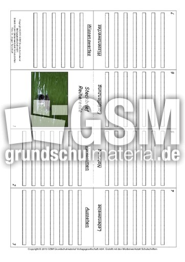 Faltbuch-Reiherente.pdf